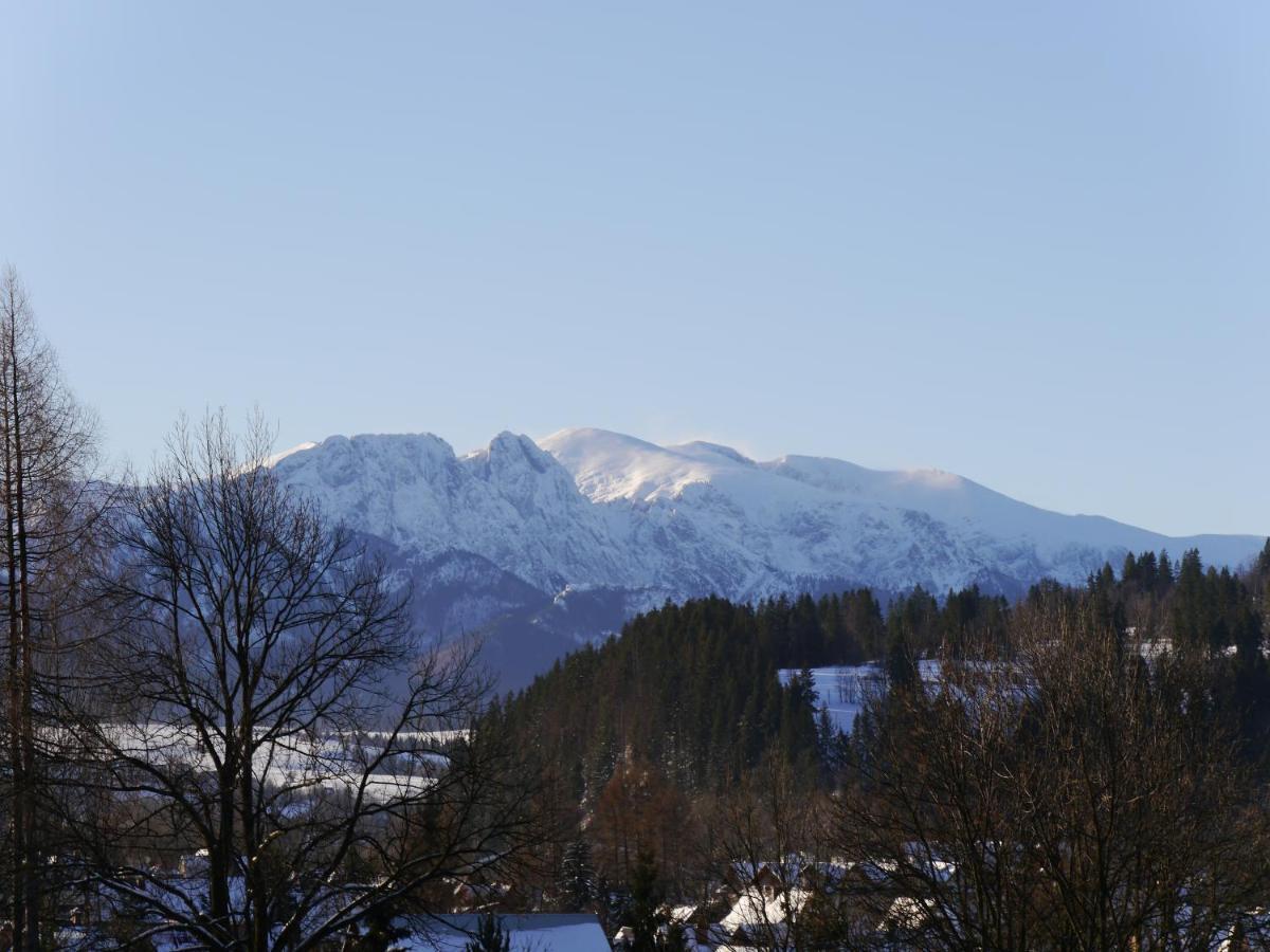 Domki Gorskie Widoki Bialy Dunajec Exterior photo